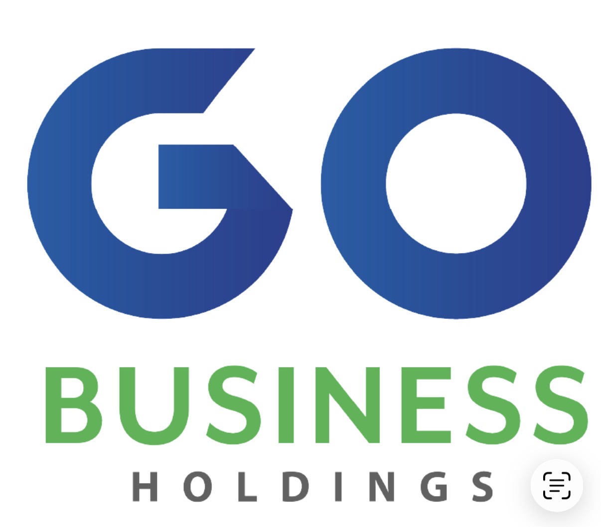 Go Business Holdings